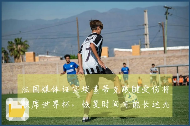 法国媒体证实埃基蒂克跟腱受伤将缺席世界杯，恢复时间可能长达九个月